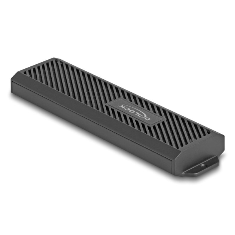 DeLOCK 42031 Boîtier de disques de stockage Enceinte ssd Noir M.2