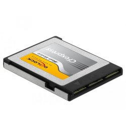DeLOCK 54066 memory card 256 GB CFexpress