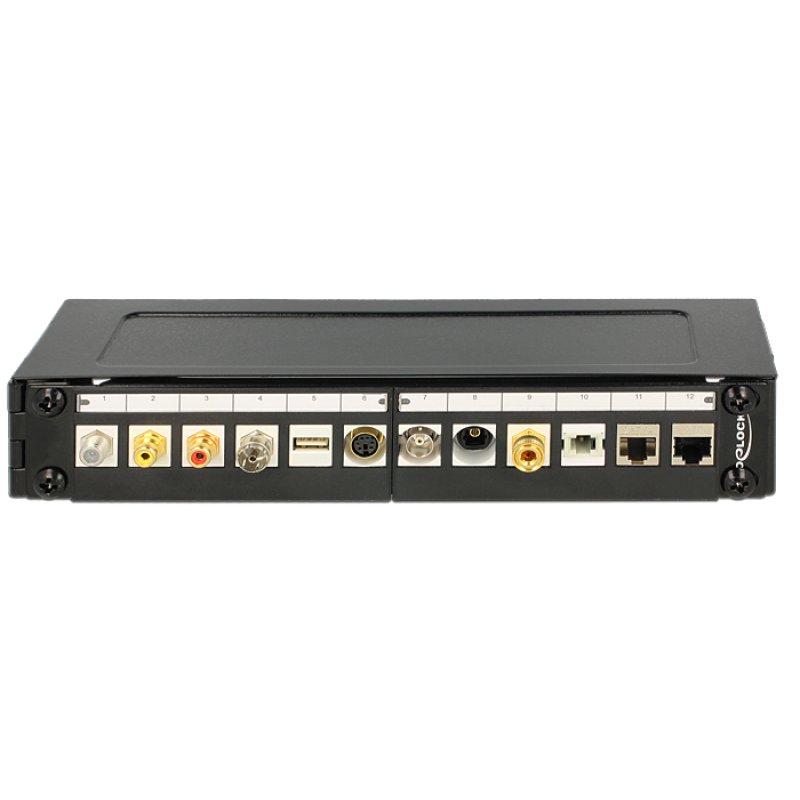DeLOCK 43303 rack cabinet 1U Wall mounted rack Black