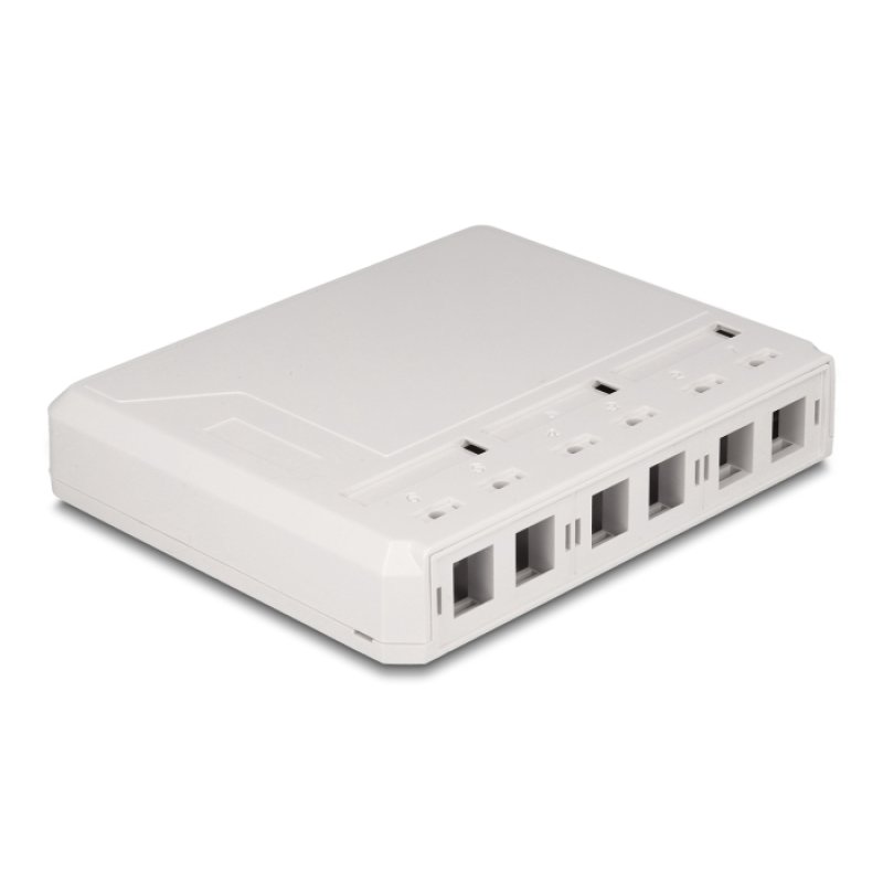 DeLOCK Boitier mural, 6 ports, blanc