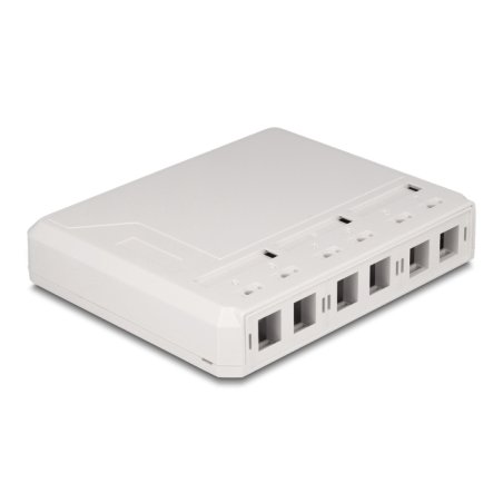 DeLOCK Boitier mural, 6 ports, blanc