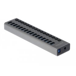 DeLOCK External USB 5 Gbps Hub with 16 Ports Switch