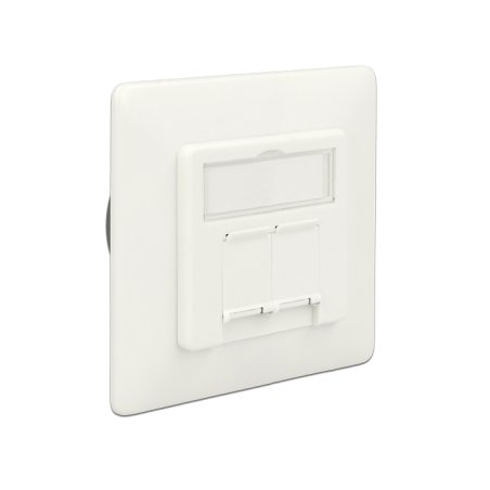DeLOCK 86195 prise de courant RJ-45 Blanc