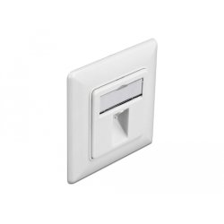 DeLOCK Keystone Wall Outlet 1 port