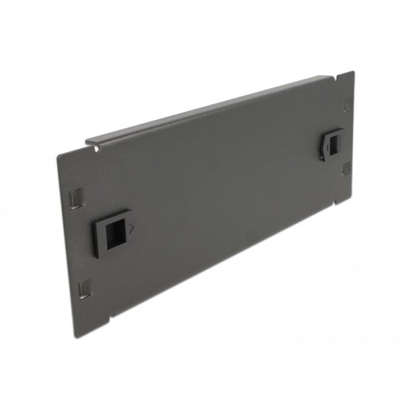 DeLOCK Capot de fermeture d’armoire de réseau 10″ sans outil, 2 unité, noir