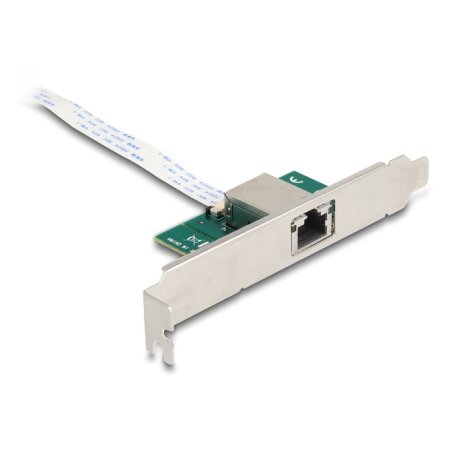 DeLOCK Convertisseur M.2 touche B M 1 x RJ45 10 Gigabit LAN