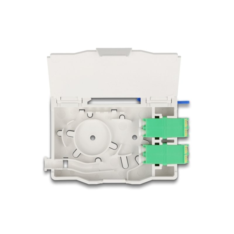 DeLOCK Boitier de connexion de fibre optique pour rail DIN avec support d’épissure et 2 x coupleurs LC Duplex