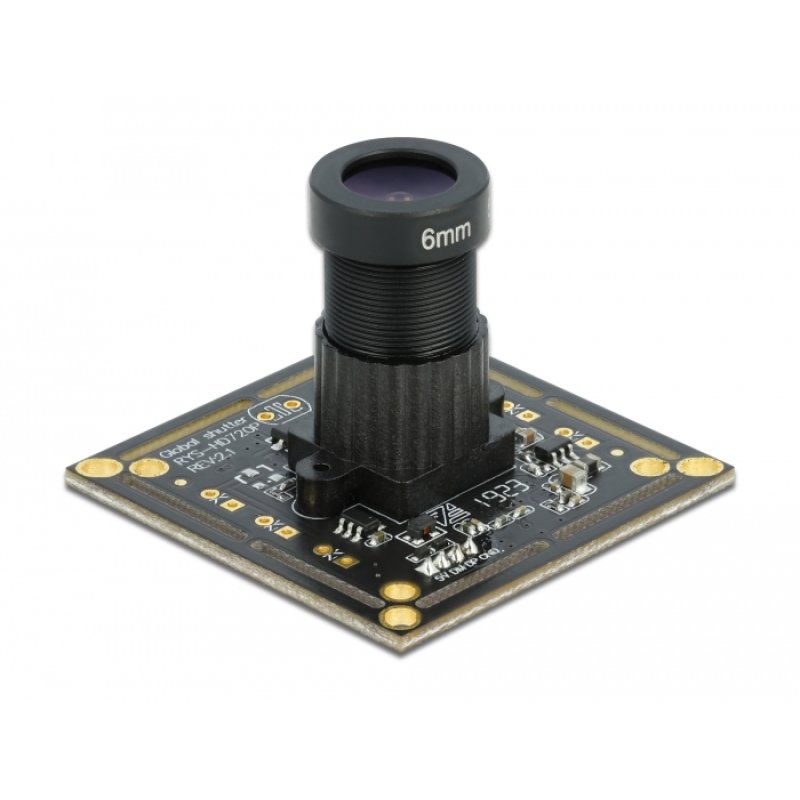 DeLOCK Module de caméra USB 2.0 avec Global Shutter, noir / blanc, 0,92 mégapixel, 36° V6, focus fixe