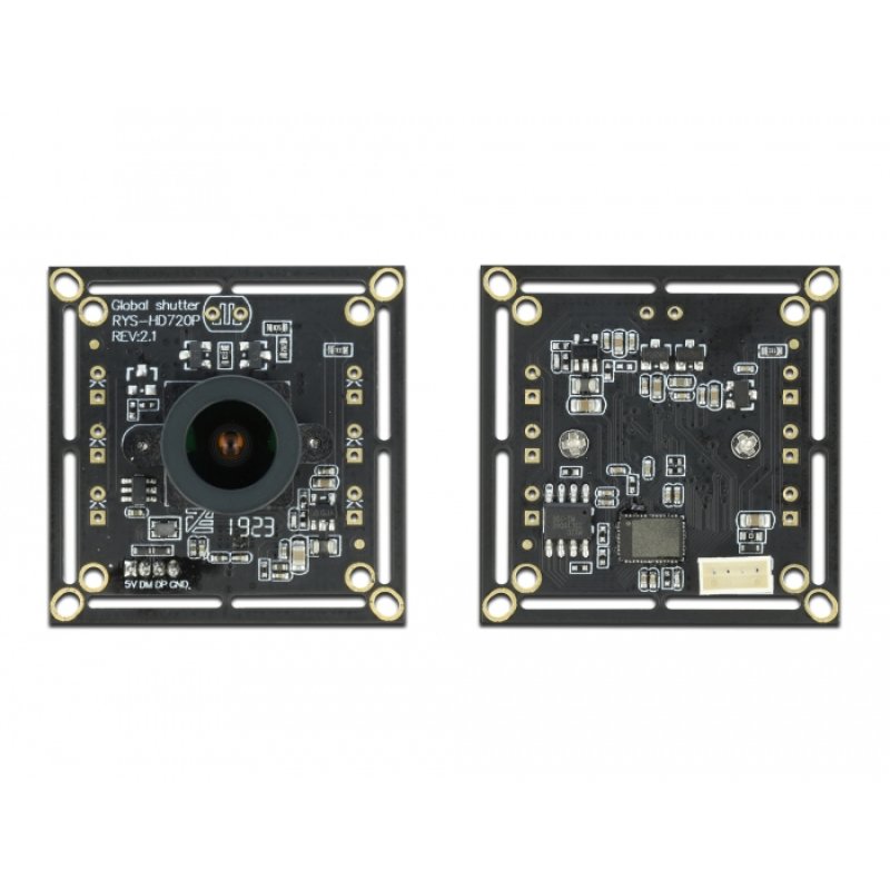 DeLOCK Module de caméra USB 2.0 avec Global Shutter, noir / blanc, 0,92 mégapixel, 36° V6, focus fixe