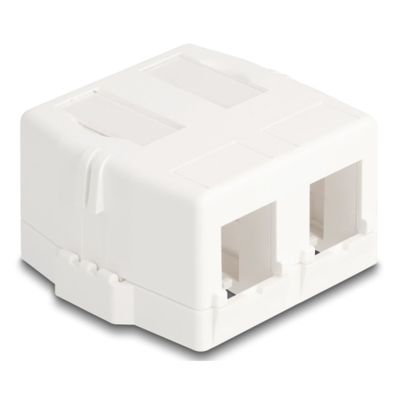 DeLOCK 85843 accessoire pour les modules Keystone Cadre à encliqueter