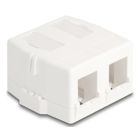 DeLOCK 85843 accessoire pour les modules Keystone Cadre à encliqueter