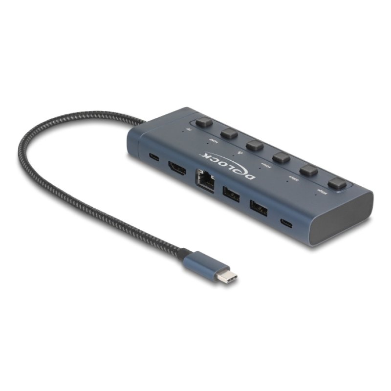 DeLOCK 92000 hub & concentrateur USB Type-C 5000 Mbit/s Bleu