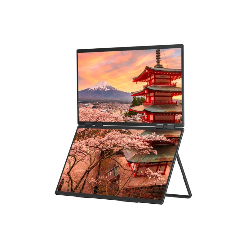 JapanNext FHD Doppelmonitor 60,45cm (23,8")