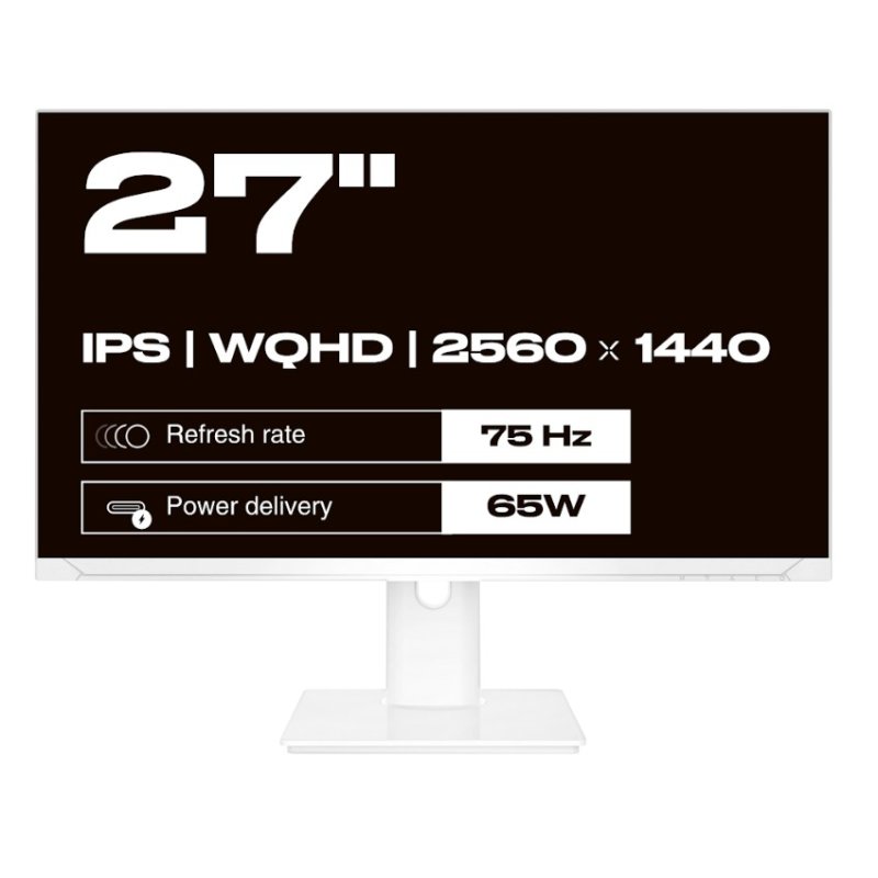 JapanNext WQHD Monitor 68,6cm (27")