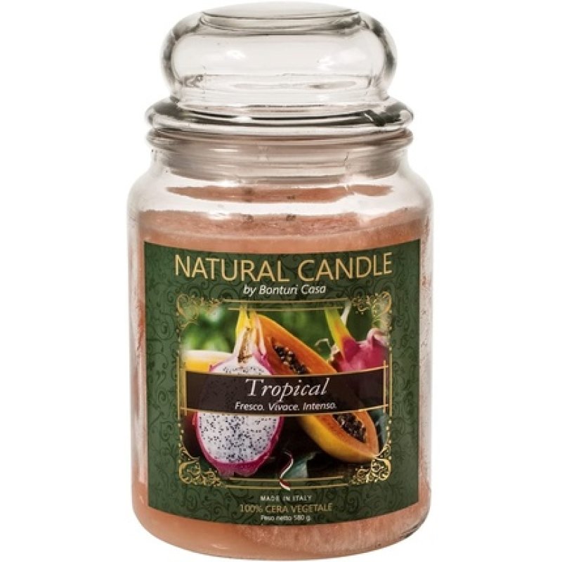 Nature Candle 167345 Tropical Scented Candle, 100% Vegetable Wax, 580 G, Mixed, 1s
