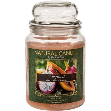 Nature Candle 167345 Tropical Scented Candle, 100% Vegetable Wax, 580 G, Mixed, 1s
