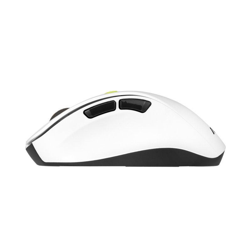 ASUS MD105 MOUSE/VT-GN souris Universel Droitier RF sans fil Bluetooth 2400 DPI