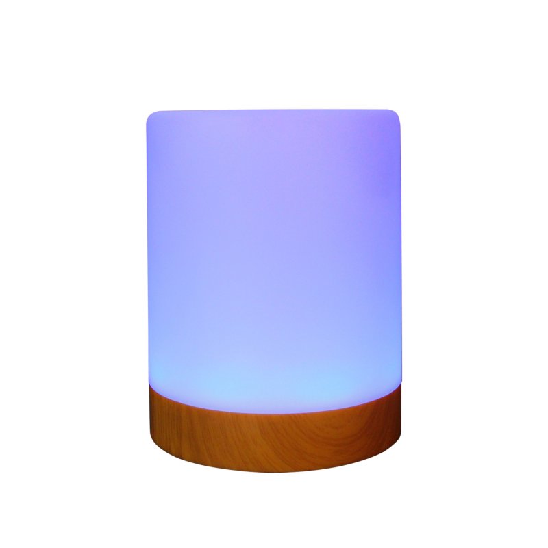 RealPower Ambiente Light 200,RGB mit Fernbedienung