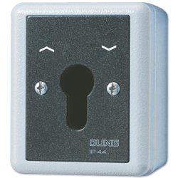 Jung 834.28 G AP/WD-Schlüsselschalter 2p Wende
