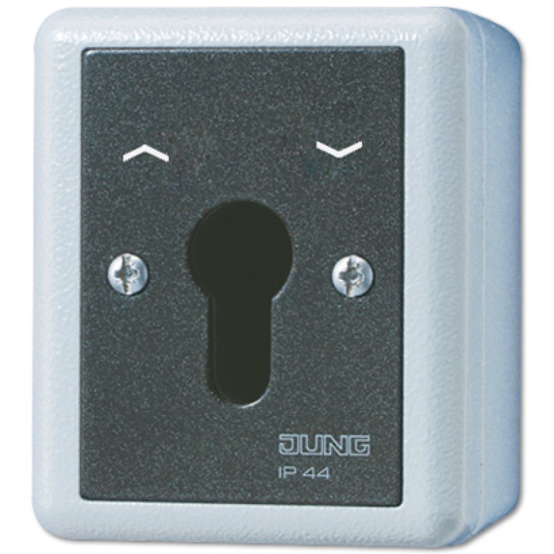 JUNG 834.28G electrical switch Key-operated switch Black, White