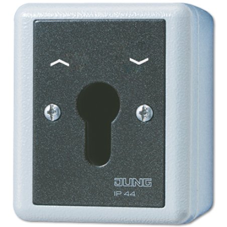 Jung 834.28 G AP/WD-Schlüsselschalter 2p Wende