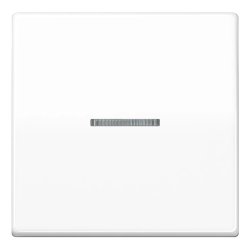 JUNG BTAS17101WW light switch Duroplast White