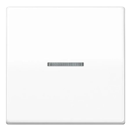 JUNG BTAS17101WW light switch Duroplast White