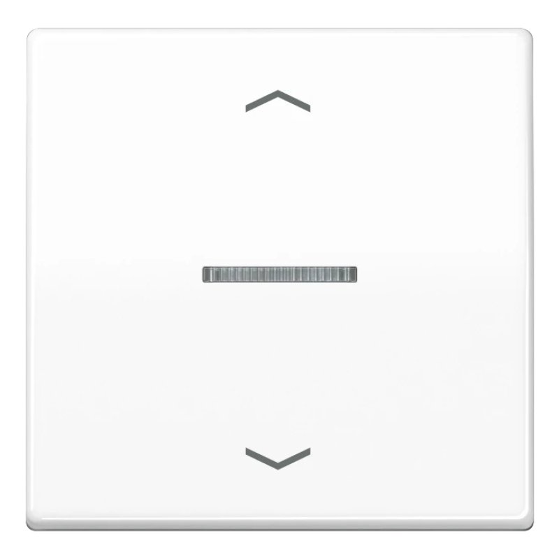 JUNG BTAS17101PWW light switch Thermoplastic White