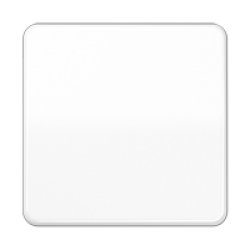 Jung CD1700WW Steuertaste Std.