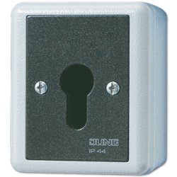 JUNG 833.18 G Interrupteur avec clé 1P Noir, Blanc