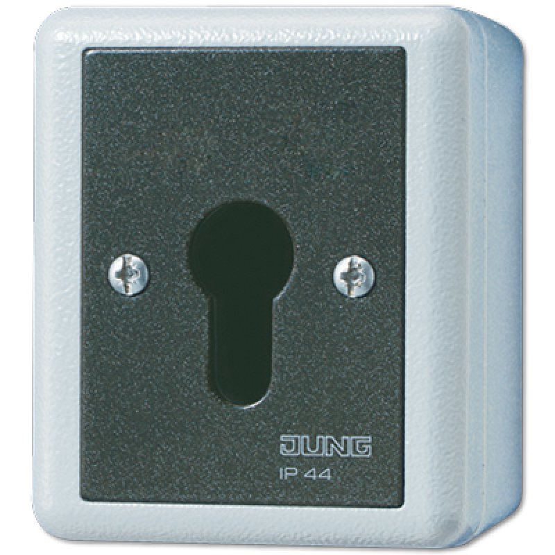 JUNG 833.18 G Key-operated switch 1P Black, White