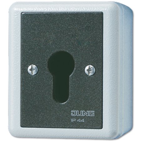 JUNG 833.18 G Key-operated switch 1P Black, White