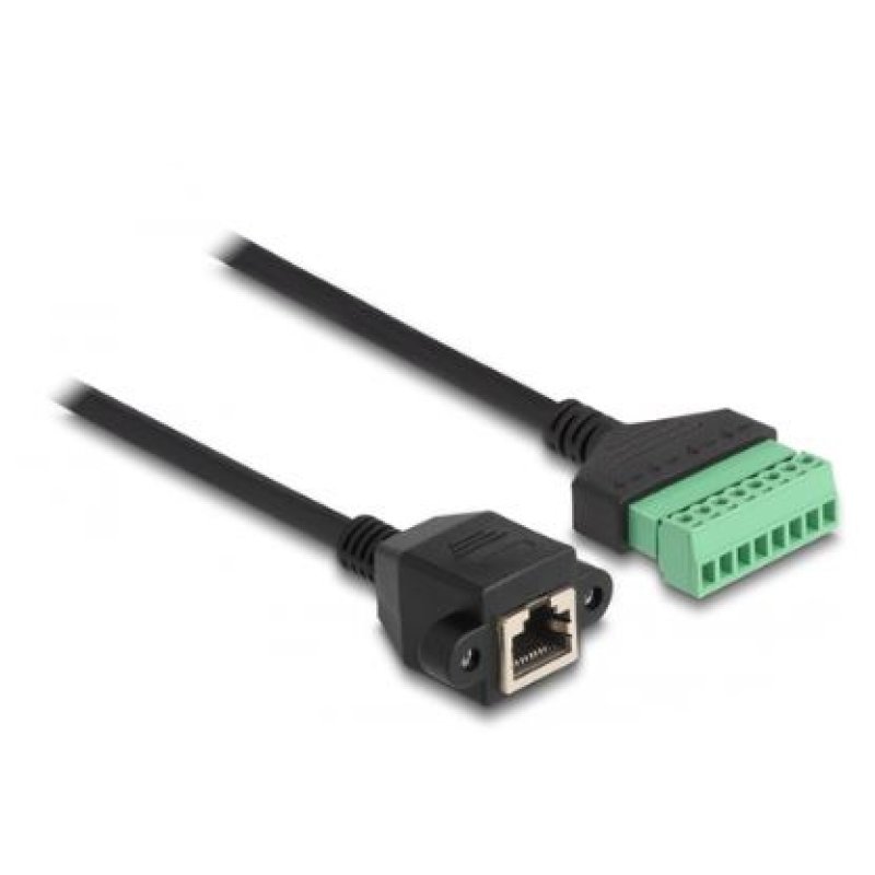 DeLOCK Câble RJ45 Cat.6 femelle vers adaptateur de bornier pour intégrer, 1 m, 2 parties