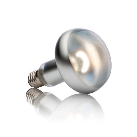 Exo Terra PT2140 lampe chauffante pour reptile 150 W 1 pièce(s)