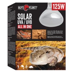 Repti Planet 007-41505 reptile heat lamp 125 W 1 pc(s)