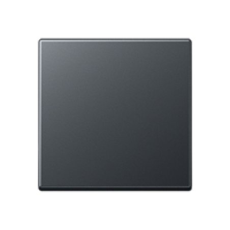 Jung A590BFANM Wippe f. Schalter/Taster