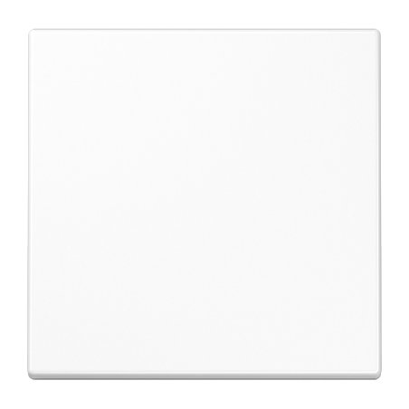 JUNG LS101WW Plaque de commutation et obturateur