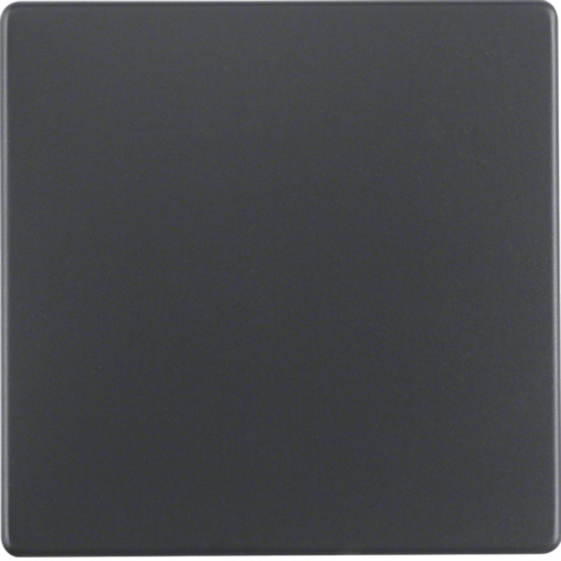 Hager 16206086 wall plate/switch cover Anthracite