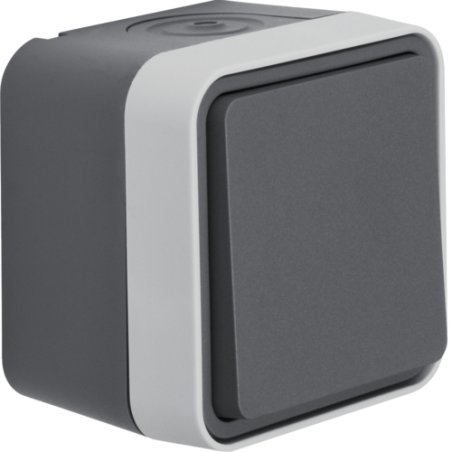 Hager 50453525 interrupteur d'éclairage Métal Gris