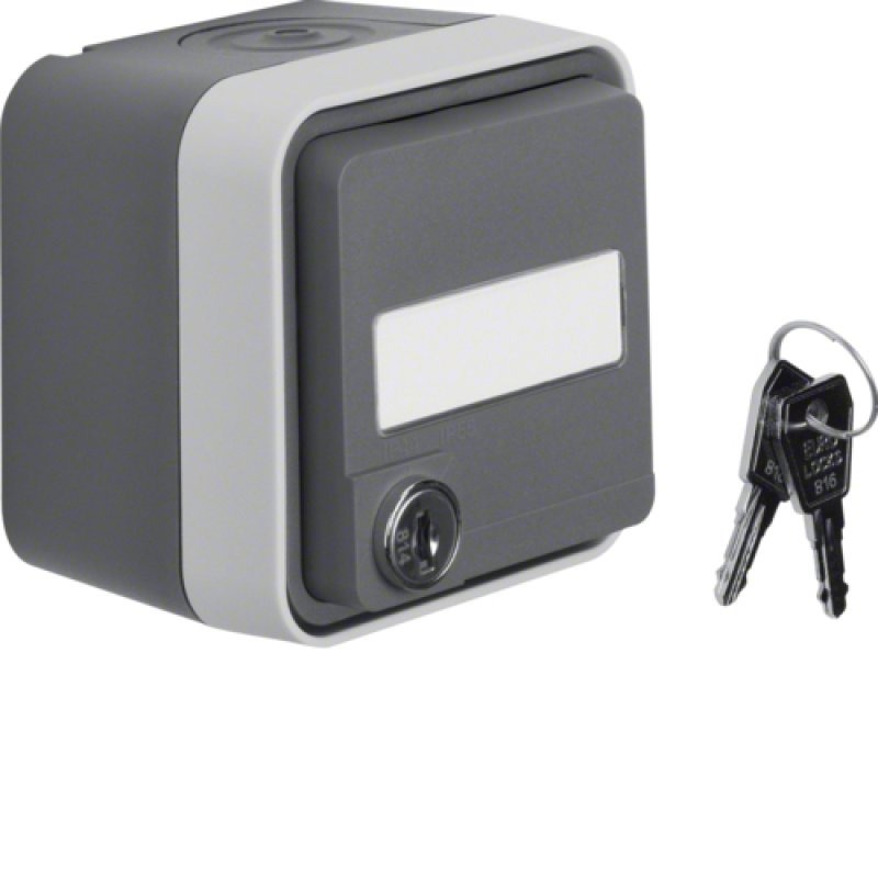 Berker 47393505 FR-NA-Steckdose abschließbar AP WD W.1 grau