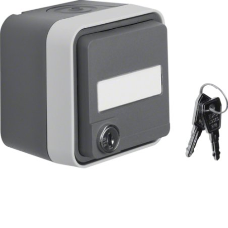 Hager 47393505 light switch Grey