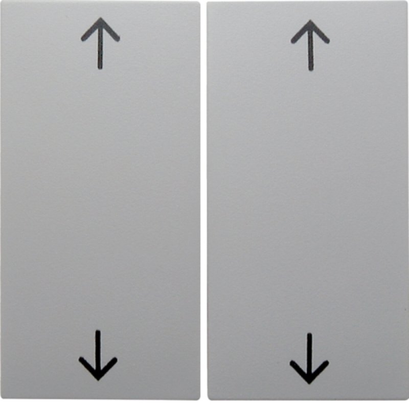 Berker 16448989 Wippe mit Aufdruck Symbol