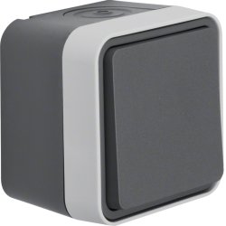 Berker 30773505 interrupteur d'éclairage Gris