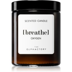 Ambientair Olphactory Oxygen Candela Profumata Brown Breathe 135 G
