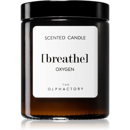 Ambientair Olphactory Oxygen Candela Profumata Brown Breathe 135 G