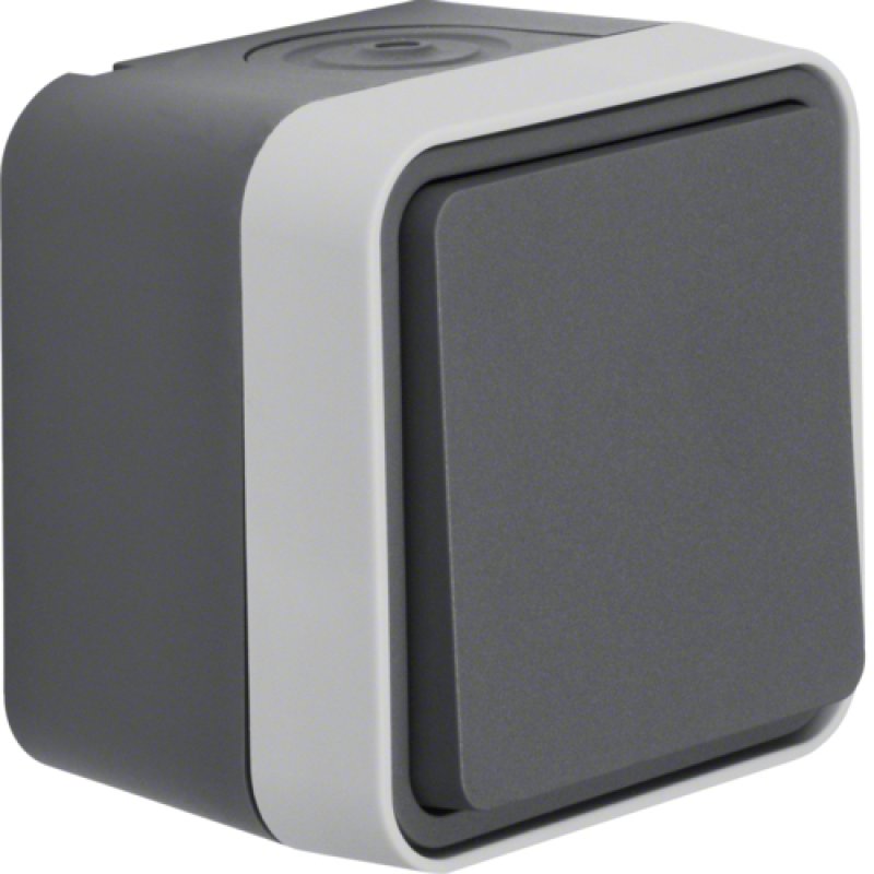Berker 30763505 light switch Grey