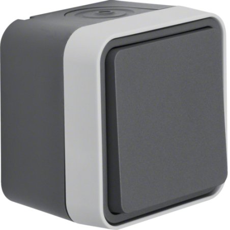 Berker 30763505 light switch Grey