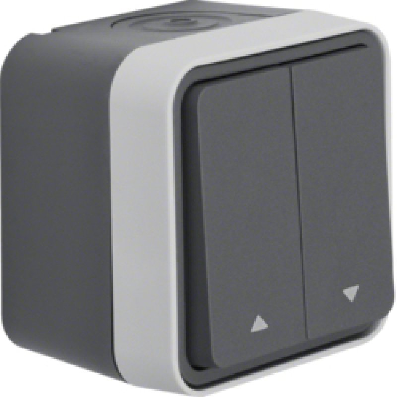 Berker 30753525 commutateur électrique Interrupteur à balancier 1P Gris