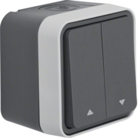 Berker 30753525 commutateur électrique Interrupteur à balancier 1P Gris