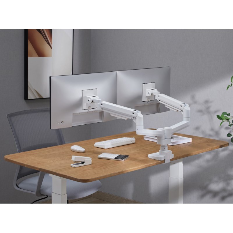 Equip 17"-35" Heavy-Duty Dual Monitor Desk Mount Bracket, White